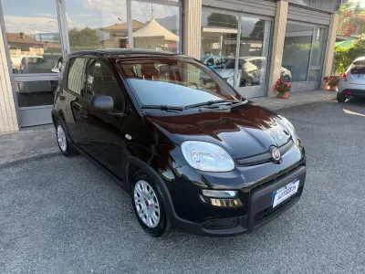 Usata Fiat Panda S 70 CV (51 kW) 2024 Nero Utilitaria