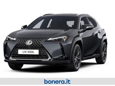 Nuova Lexus UX 198 CV (145 kW) 2025 Grigio SUV