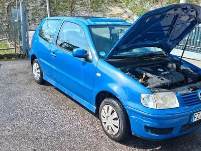 Usata VW Polo 2003 Blu Coupé