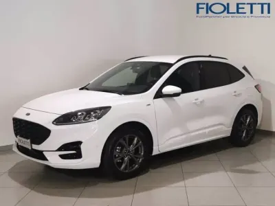 Usata Ford Kuga ST-Line X 225 CV (165 kW) 2023 Bianco SUV