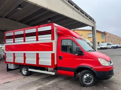 usata Iveco Daily 3.0 150cv trasporto animali vivi paten