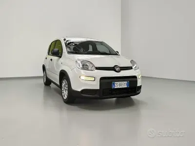 Usata Fiat Panda S 70 CV (51 kW) 2024 Bianco Utilitaria