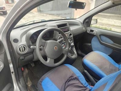 Usata Fiat Panda Dynamic 60 CV (44 kW) 2009 Grigio Utilitaria