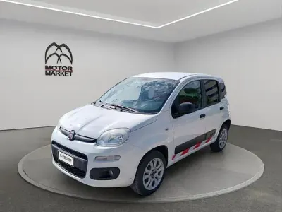 Usata Fiat Panda 4x4 Pop 85 CV (62 kW) 2020 Bianco Utilitaria