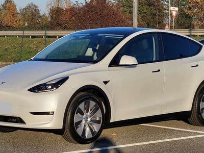 usata Tesla Model Y Model YLong Range Dual Motor awd