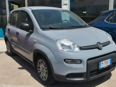 Usata Fiat Panda S 70 CV (51 kW) 2022 Grigio Utilitaria