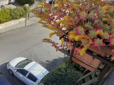 Usata Renault Clio II 75 CV (55 kW) 2011 Bianco