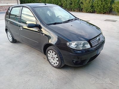 usata Fiat Punto Punto 1.2 5 porte Active Natural Power