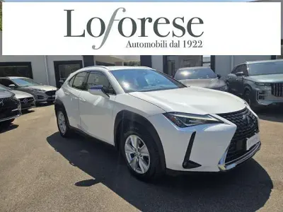 Usata Lexus UX 250h