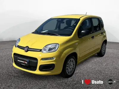 Nuova Fiat Panda Icon 65 CV (47 kW) 2026 Giallo Utilitaria