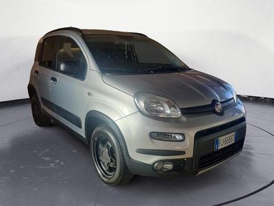 Usata Fiat Panda 4x4 S 95 CV (69 kW) 2017 Argento Utilitaria