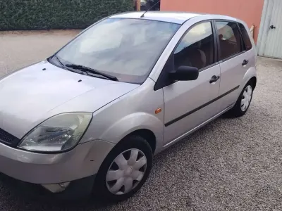 Usata Ford Fiesta