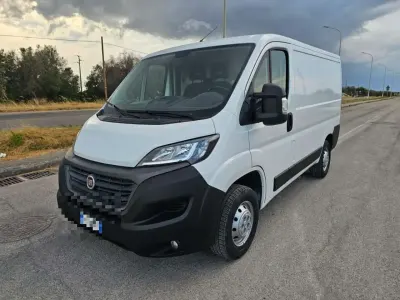 Usata Fiat Ducato 120 CV (88 kW) 2019 Bianco Furgone