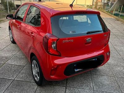 Usata Kia Picanto 67 CV (49 kW) 2018 Rosso Utilitaria