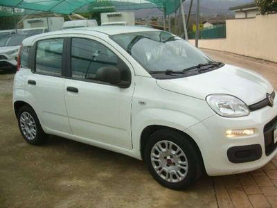 Usata Fiat Panda Easy 69 CV (50 kW) 2018 Bianco Utilitaria