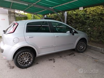 usata Fiat Punto Evo Punto Evo 1.4 5 porte Active Natural Power