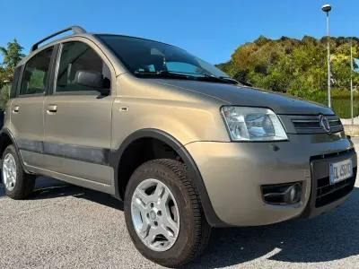 Usata Fiat Panda 4x4 69 CV (50 kW) 2008 Beige Utilitaria