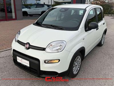 Usata Fiat Panda S 69 CV (50 kW) 2024 Bianco gelato Utilitaria