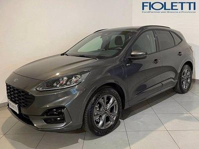 Usata Ford Kuga ST-Line 190 CV (139 kW) 2023 Grigio SUV