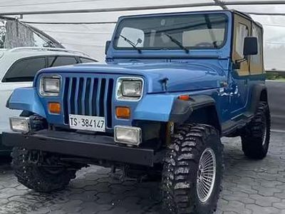 Begagnad Jeep Wrangler Laredo 103 HK (75 kW) 1991 Blå SUV