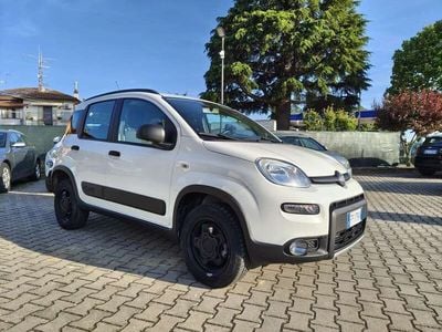 Usata Fiat Panda 4x4 S 95 CV (69 kW) 2018 Gelato Utilitaria