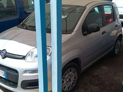 Usata Fiat Panda Dynamic 60 CV (44 kW) 2021 Argento Utilitaria