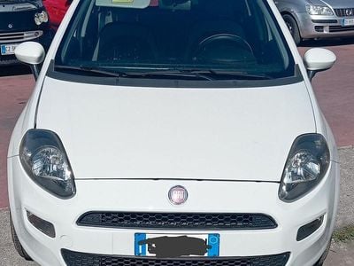 Usata Fiat Punto 77 CV (56 kW) 2013 Bianco Utilitaria