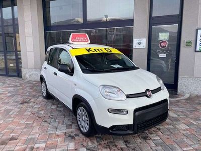 Usata Fiat Panda S 69 CV (50 kW) 2024 Bianco gelato Utilitaria