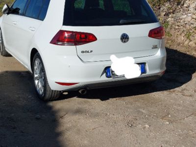 usata VW Golf VII Golf 1.6 TDI 110 CV DSG 5p. Business 4 Free BlueMotion Tech.