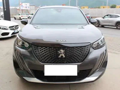 Usado Peugeot 2008