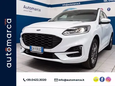 Usata Ford Kuga ST-Line 225 CV (165 kW) 2021 Bianco SUV