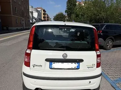 Usata Fiat Panda Dynamic 60 CV (44 kW) 2009 Utilitaria