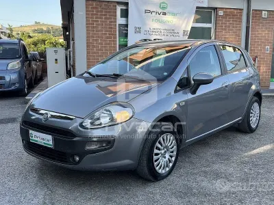 Usata Fiat Punto Evo Active 77 CV (56 kW) 2011 Grigio Utilitaria