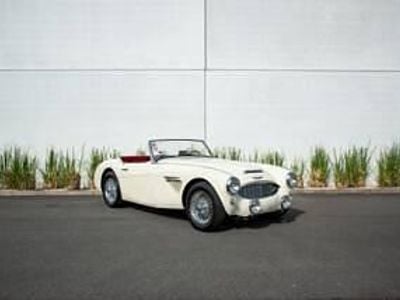 Usata Austin Healey 100/6 102 CV (75 kW) 1957 Bianco Cabrio