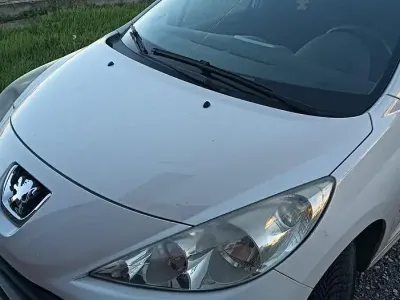 Brugt Peugeot 207
