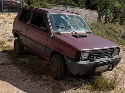 Usata Fiat Panda 4x4