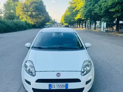 Usata Fiat Punto 69 CV (50 kW) 2015 Bianco Utilitaria