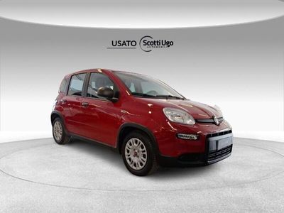 usata Fiat Albea Panda 1.0 FireFly S&S Hybrid Easy del 2024 usata a