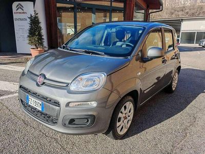 Usata Fiat Panda Easy 69 CV (50 kW) 2020 Grigio scuro Berlina