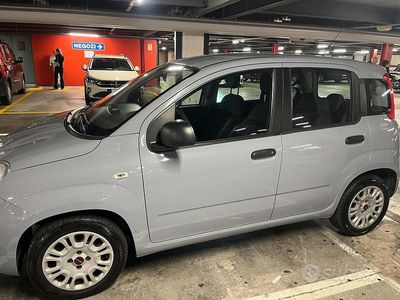 Usata Fiat Panda 69 CV (50 kW) 2018 Utilitaria