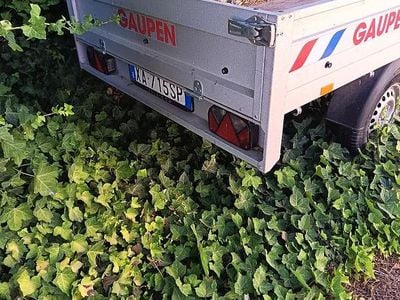 Usata Tesla Model 3 152 kW (208 CV) 2019 Bianco Berlina