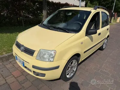 Usata Fiat Panda 60 CV (44 kW) 2008 Giallo Utilitaria