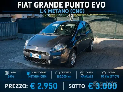 Usata Fiat Punto