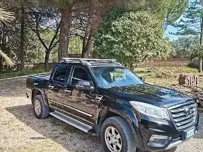 Usata Great Wall Steed 6 122 CV (89 kW) 2019 Nero Pick-up