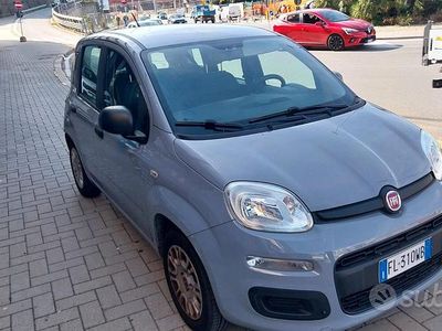 Usata Fiat Panda Easy 69 CV (50 kW) 2017 Grigio Utilitaria