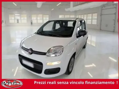 Usata Fiat Panda Sport 69 CV (50 kW) 2021 Bianco pastello Utilitaria