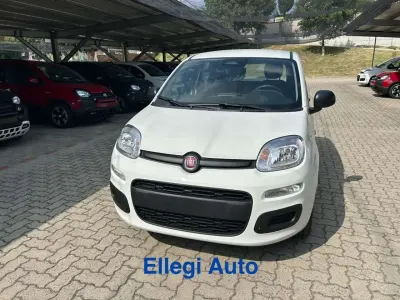 Nuova Fiat Panda Icon 69 CV (50 kW) 2026 Bianco Utilitaria