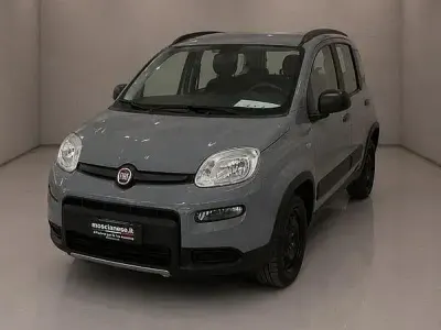 Usata Fiat Panda 4x4 S 85 CV (62 kW) 2019 Grigio Utilitaria