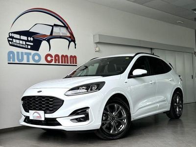 usata Ford Kuga 1.5 EcoBlue 120cv aut. ST-Line Garanzi