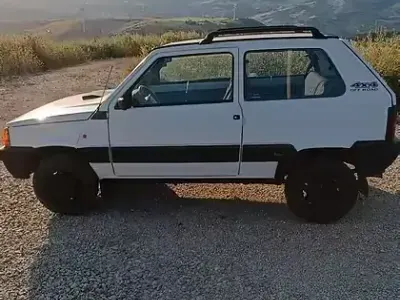 Usata Fiat Panda 4x4 Trekking 54 CV (39 kW) 2001 Bianco Utilitaria